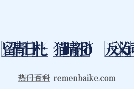 留青日札·猫睛祖𭹃琭反义词是什么意思的图片